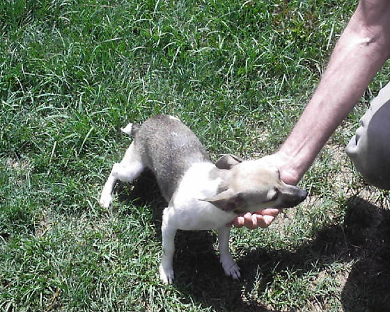 squirrel01.jpg