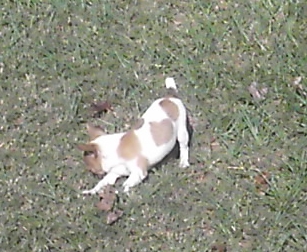 10222013005.jpg