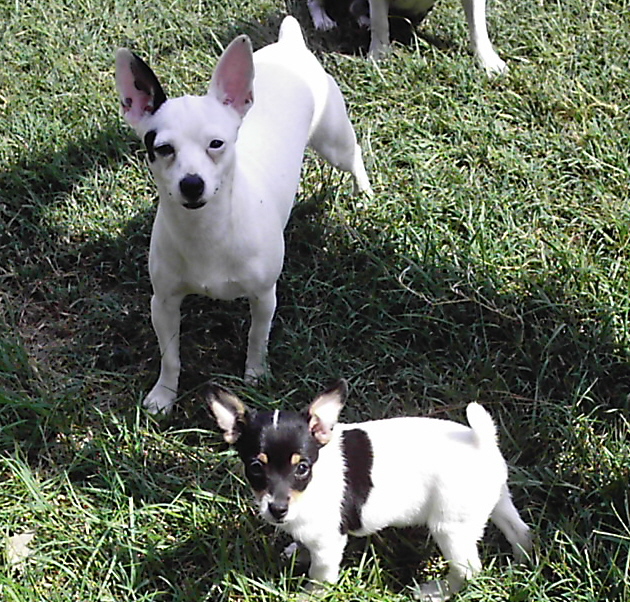 june212008012.jpg