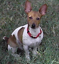 june212008twnr05.jpg