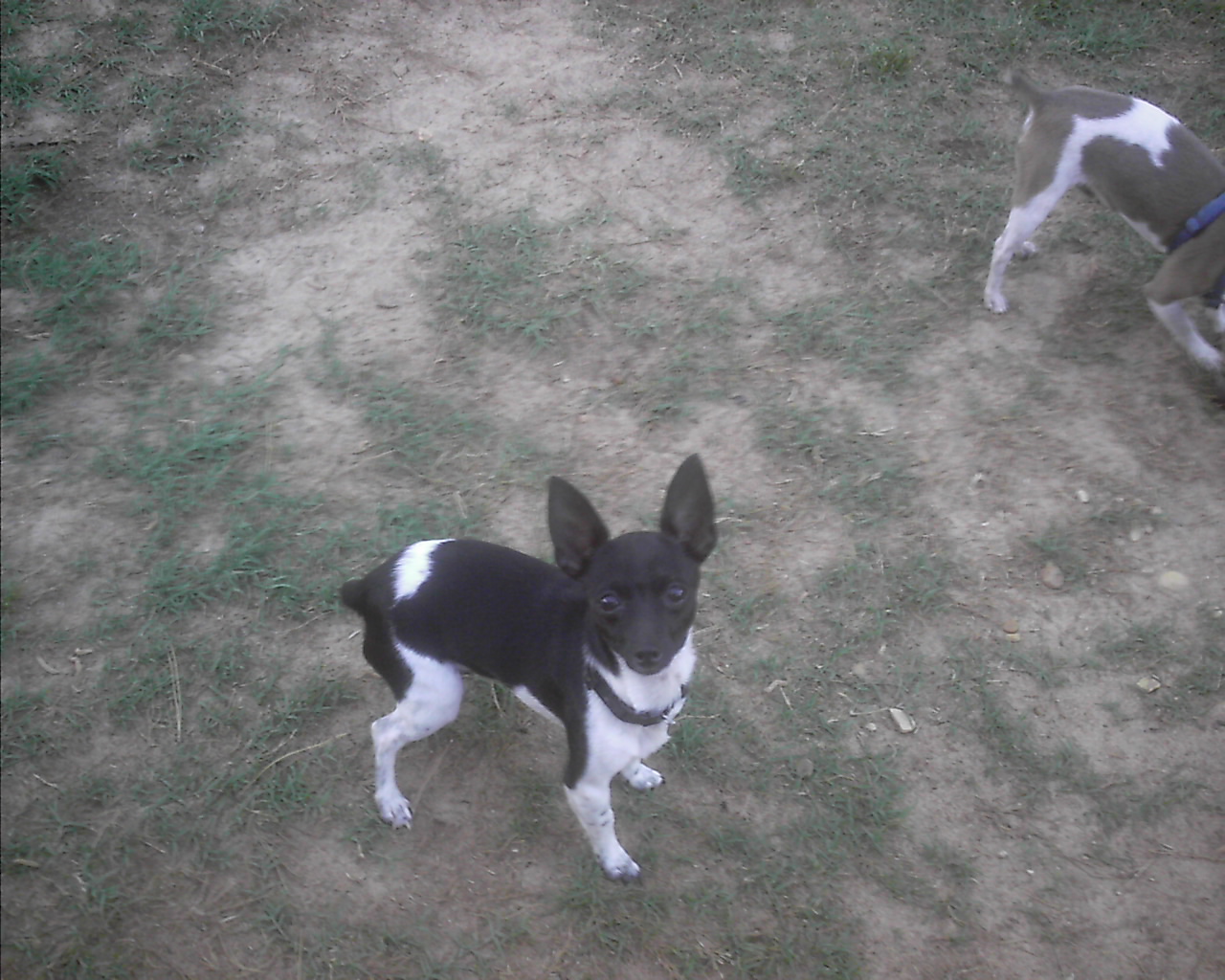 march24201220.jpg