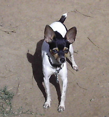 october9th2009002.jpg