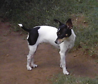 october9th2009005a.jpg
