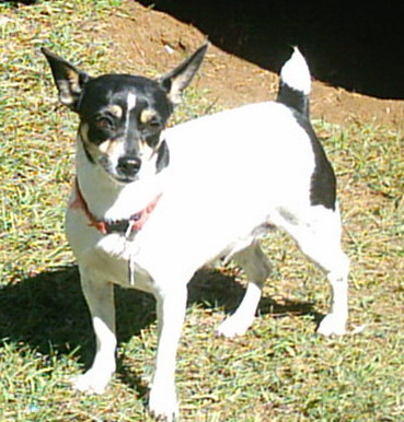 picture264.jpg